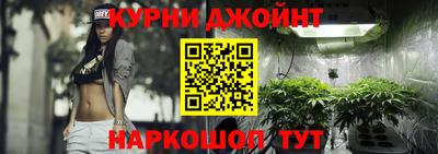 гидра Краснознаменск