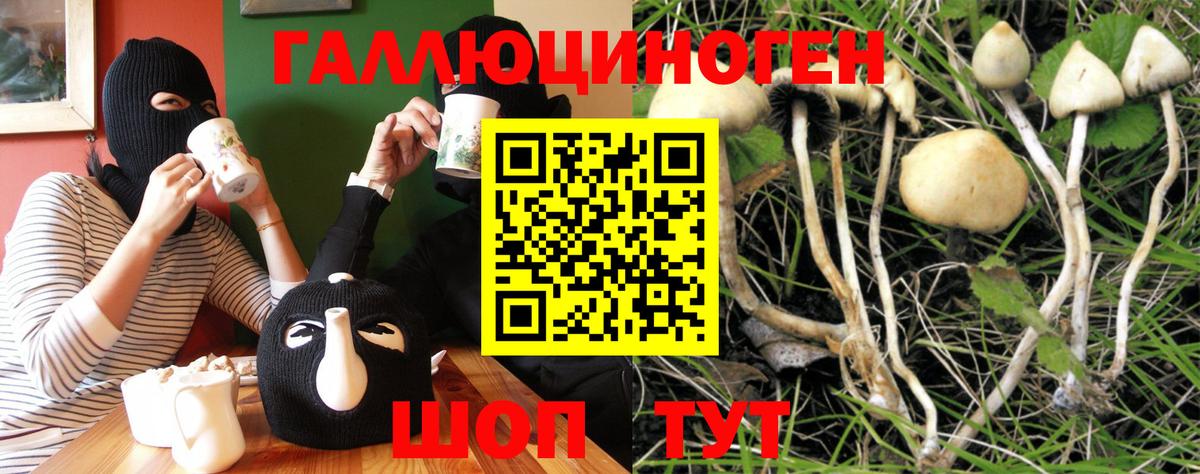 Галлюциногенные грибы MAGIC MUSHROOMS  Вход с VPN  Ангарск  Галлюциногенные грибы MAGIC MUSHROOMS 