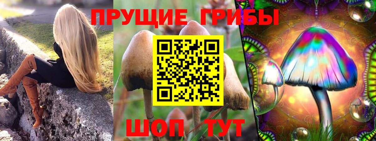 Галлюциногенные грибы Magic Shrooms Ангарск